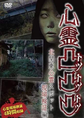 心霊凸凸凸 北関東心霊スポット現場検証編